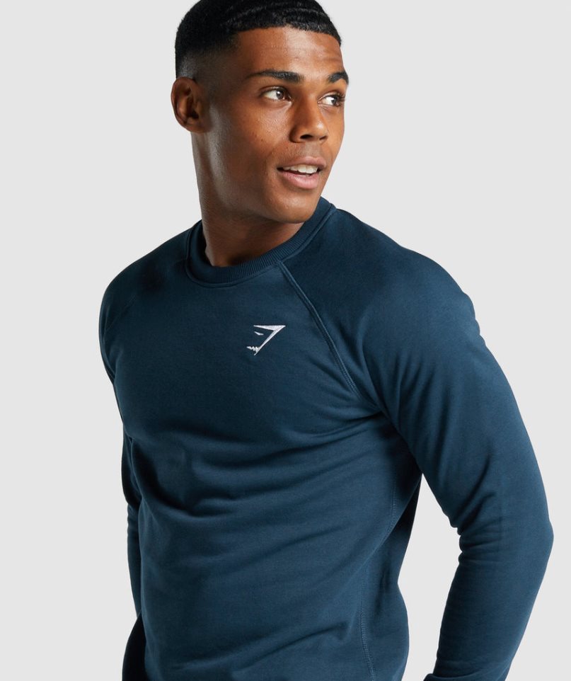 Bluzy Gymshark Crest Męskie Granatowe | PL 765EVO